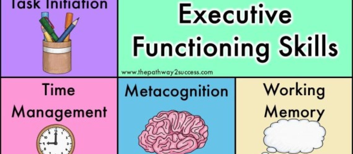 STRATEGY EXECUTIVE SKILL